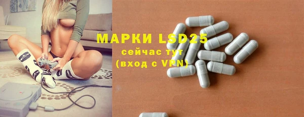 эйфоретик Верея