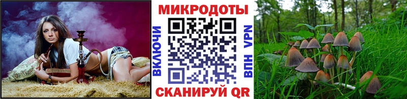 Псилоцибиновые грибы MAGIC MUSHROOMS  Купить закладки  Черняховск 